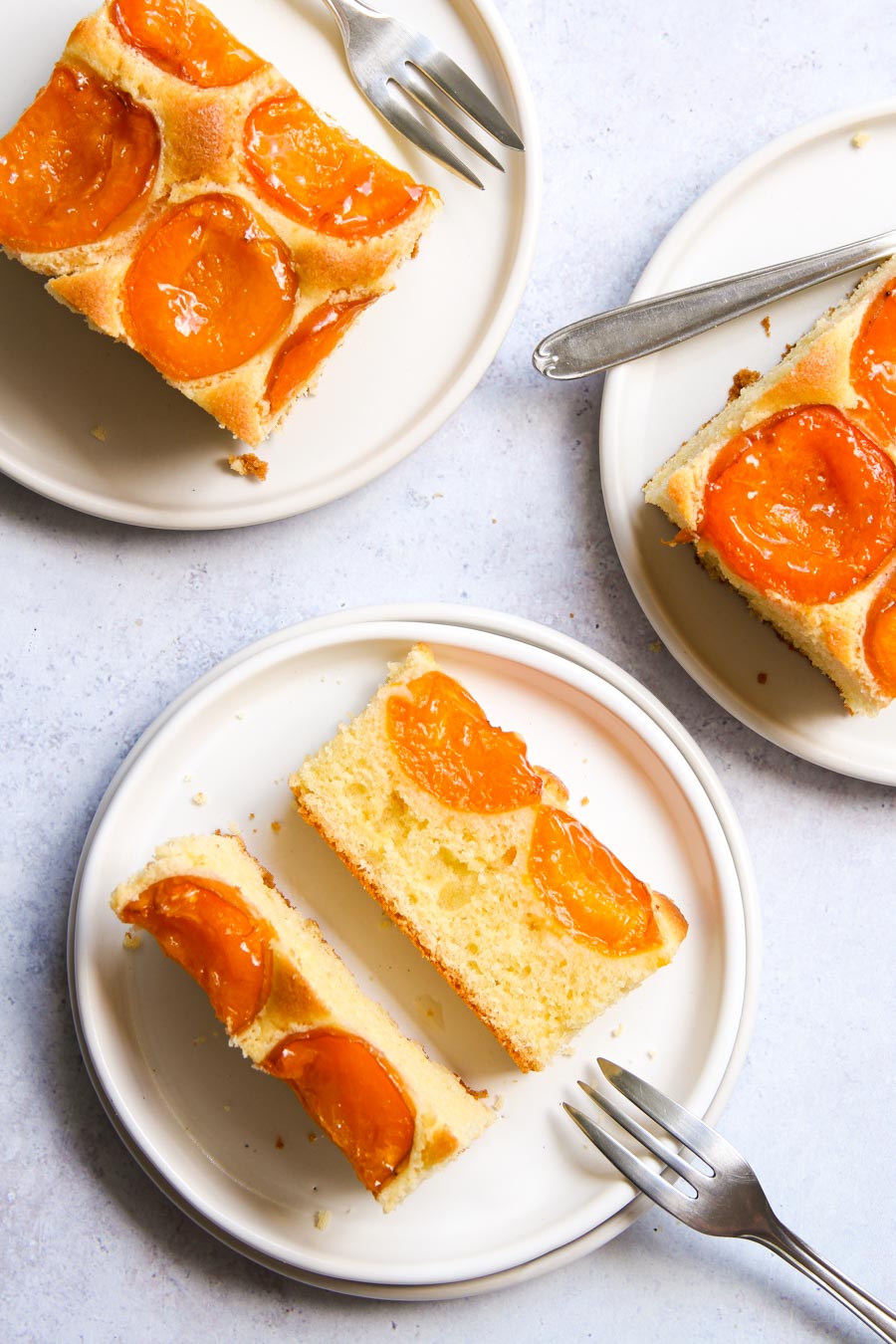 Apricot sheet cake Austrian recipe