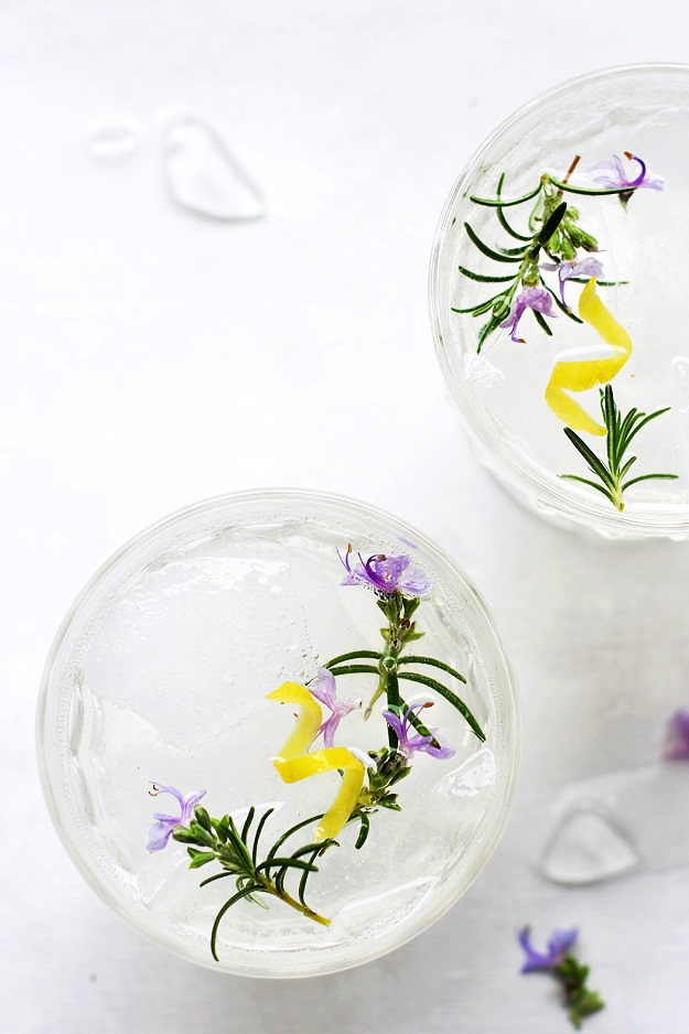 Best Rosemary Gin Fizz Recipe