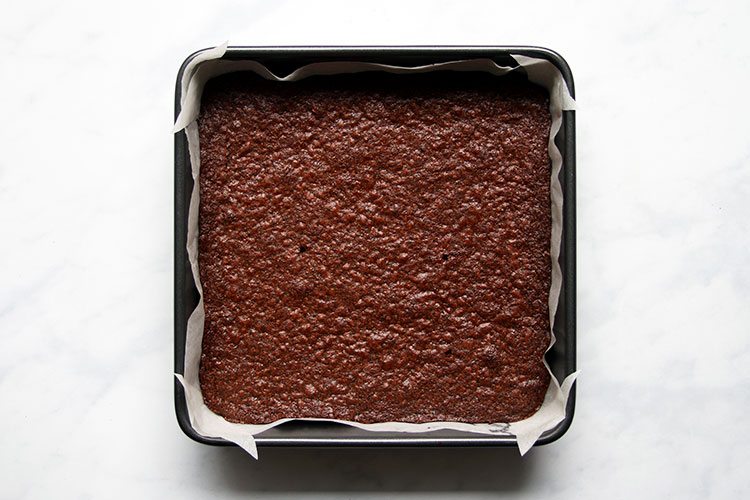 Baked poppy seed brownies in pan