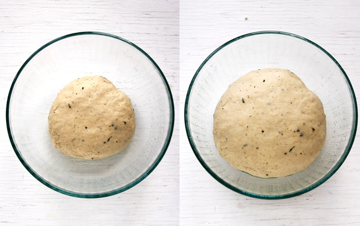 Dough for Thanksgiving dinner rolls