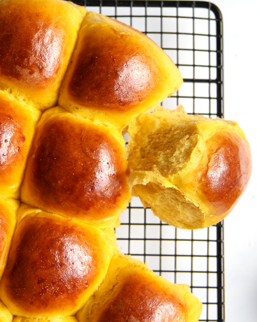 Fluffy pumpkin dinner rolls