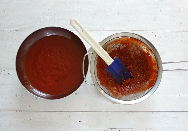 Healthy homemade Ketchup