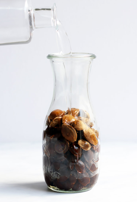 Homemade Amaretto Liqueur from Apricot Pits » Little Vienna