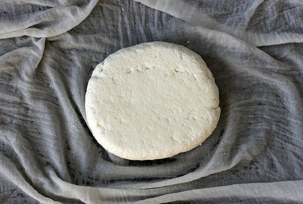 Homemade Paneer