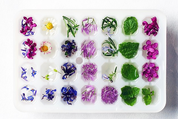 How to make ice cubes with flowers