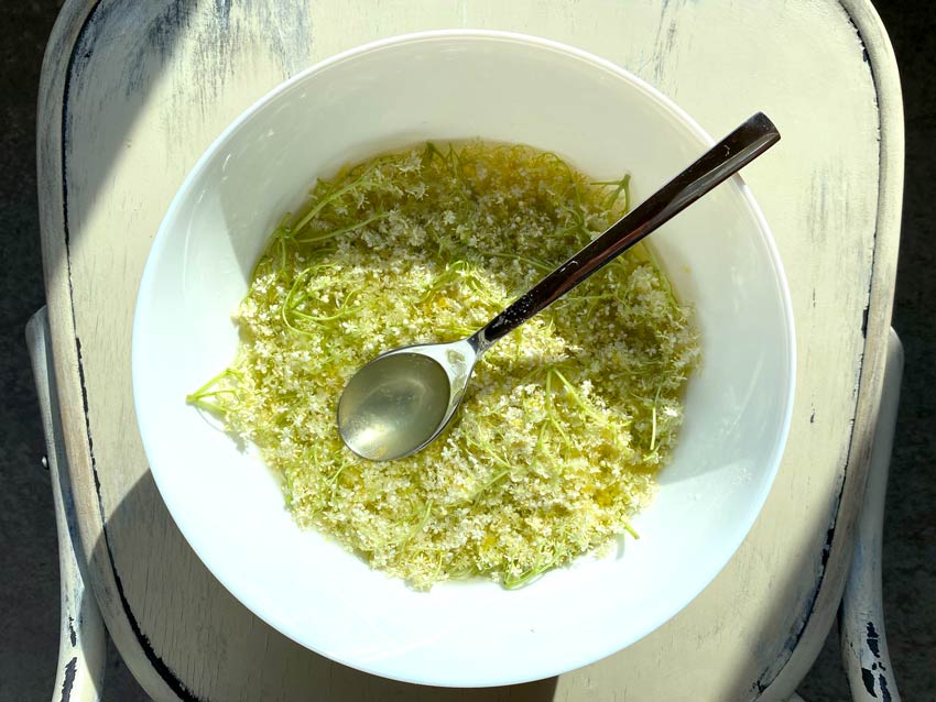 elderflowers in bowl with syrup
