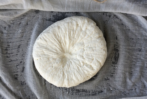 Homemade Paneer: Pressed cheese