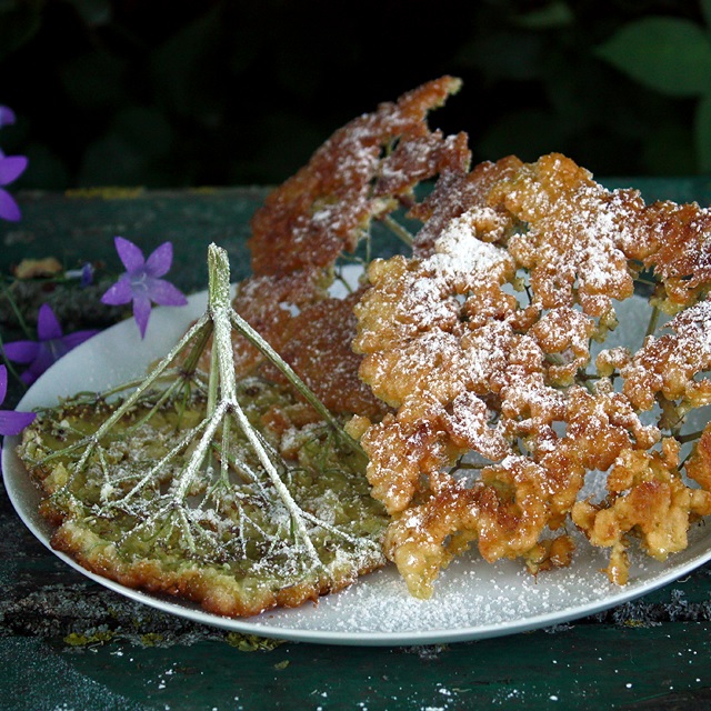 Elderflower fritters – Gebackene Holunderblüten