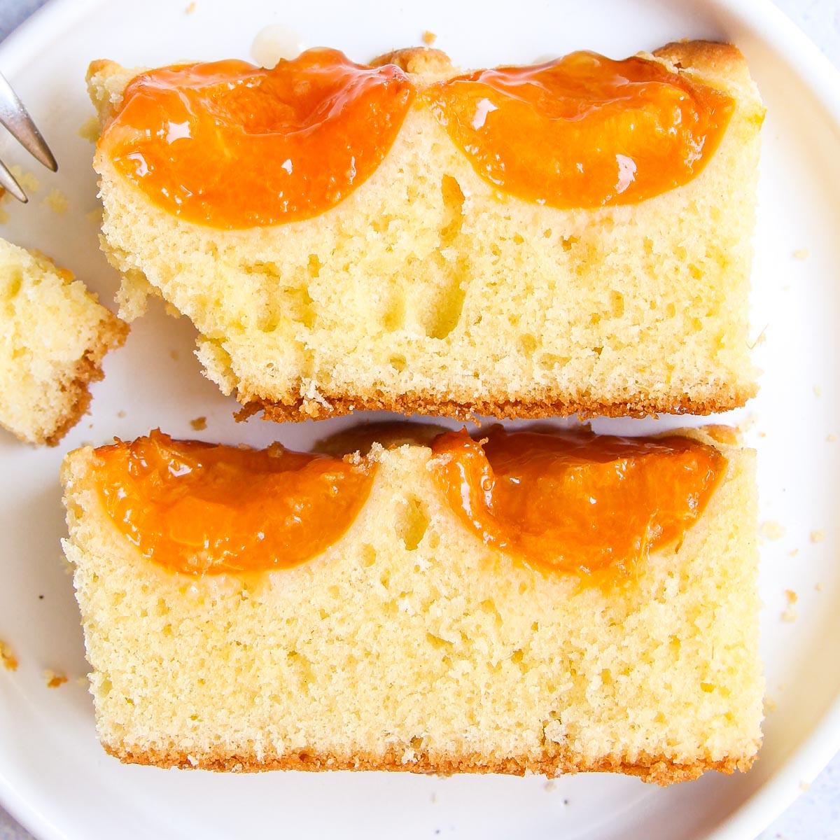 Austrian Apricot Sheet Cake - Light and Airy