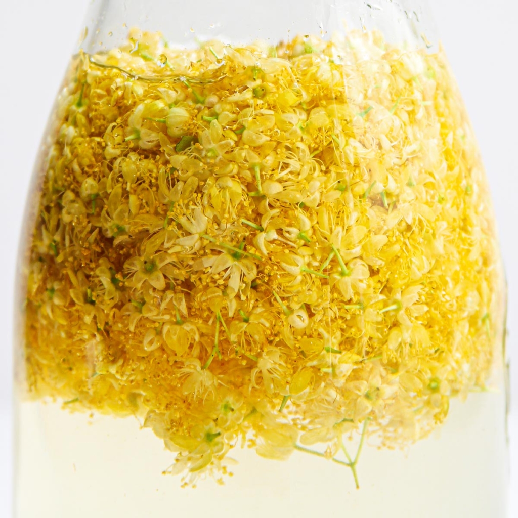 Recipe linden flower syrup