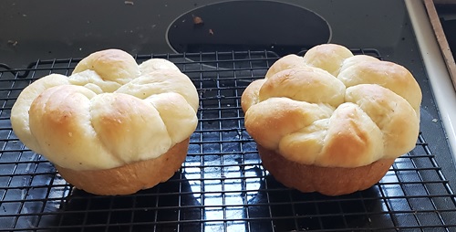 homemade brioche made by user using a lilvienna recipe