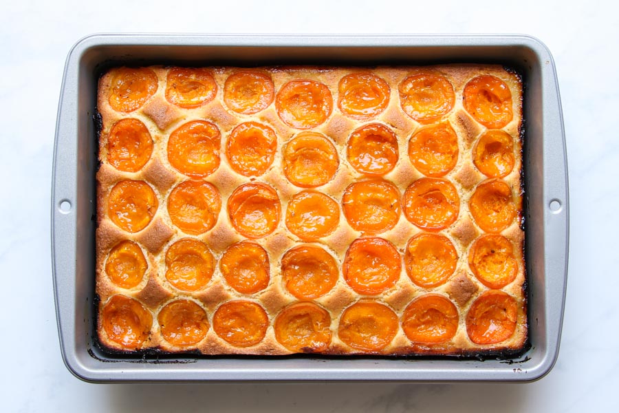 Viennese apricot sheet cake recipe