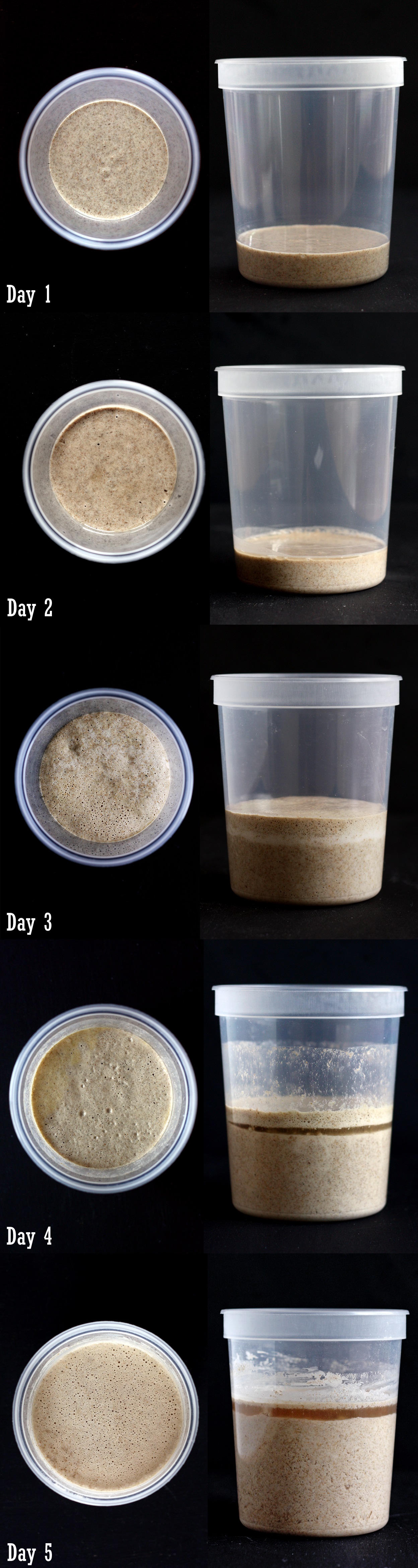 How to make a Sourdough Starter